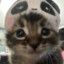 Kattz