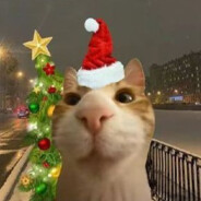 степопиков