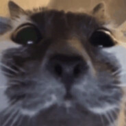 stephanitto Steam avatar