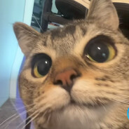 секс с горшком