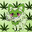 Eve420Havens