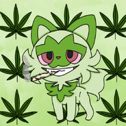 Eve420Havens