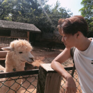 不會完別拿艾許