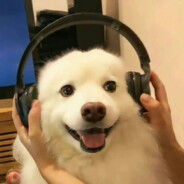 你就是我要遇见的特别的人