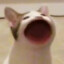 ,,,,,,