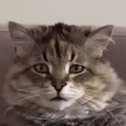 Tom Tom 我是咖喱