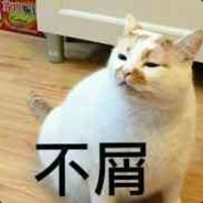 Big Avatar