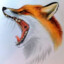 foxersad