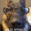 Kai_skai20