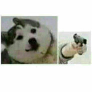 小老弟你怎么回事