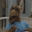 ALF