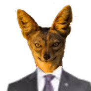 Jackal