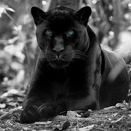 Ateme - steam id 76561199518577586