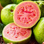 Grapefruit