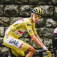 波加查都夸我会摇车