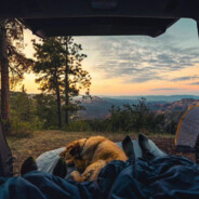 挖掘机技术哪家强丶