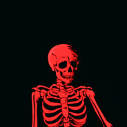 POLIZELs avatar