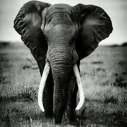 CJIOH - steam id 76561199129877915