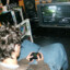 2004 halo xbox gamer