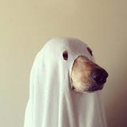 SpookeyDog