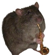 RAT