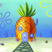 史等等爱吃香菜