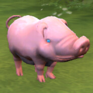 аллах бум-бум