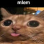 mlem