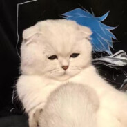 超薄乳胶 空气体验