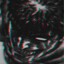 H4TE