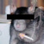 [redacted rat]