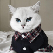 ):Одинокий:(