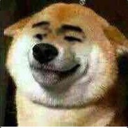 36岁天才老年丶