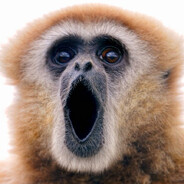 The Lurking Gibbon