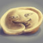 Lybitel_PelmeLLlek