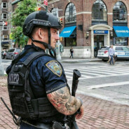 德克萨斯州副总警监