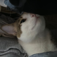 宇宙超級無敵暴龍戰士