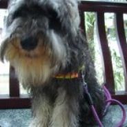 妇联主任徐富先