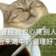 网恋秀牛被录屏