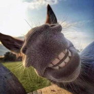 宇宙超级无敌暴力战士