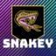 snakeY