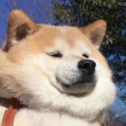 活着就是为了偷吃贡品