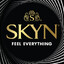 skyNs