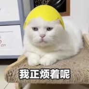 青青草原懒大王