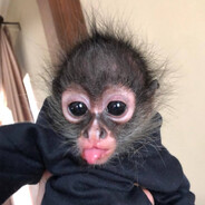 chnbq - steam id 76561199800985262