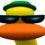 PATO - SUICIDA