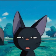 Eylon1 avatar