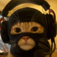 Novo
