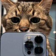 AJ23 - steam id 76561199140390611