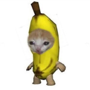Le Meow
